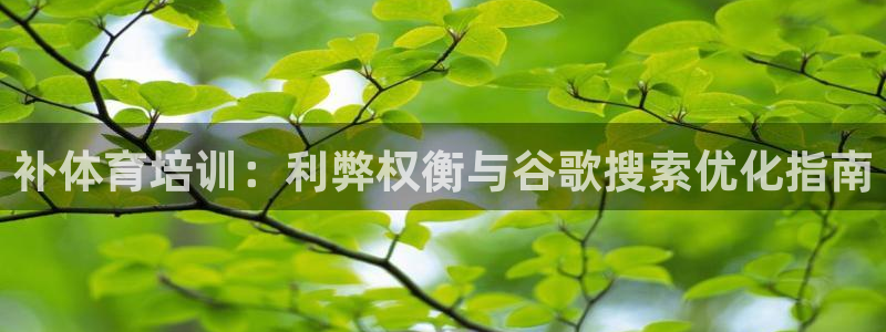 富联娱乐会员账号：补体育培训：利弊权衡与谷歌搜索优化