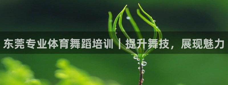 富联娱乐登录注册入口官网：东莞专业体育舞蹈培训｜提升