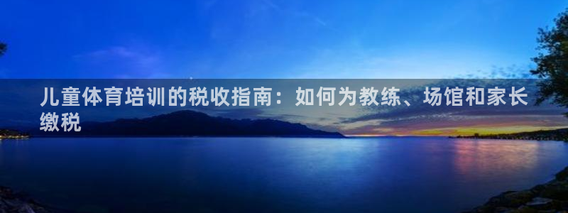 富联平台登录：儿童体育培训的税收指南：如何为教练、场